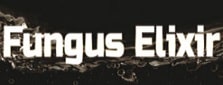 fungus-elixir